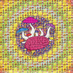 Buy LSD-25 Tabs Mushroom Brain Online in Canada - Buy MDMA Canada
