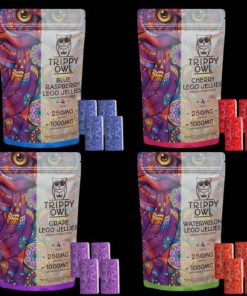 Buy Trippy Owl Lego Jellies – 1000mg Gummies Online in Canada - Buy MDMA Canada